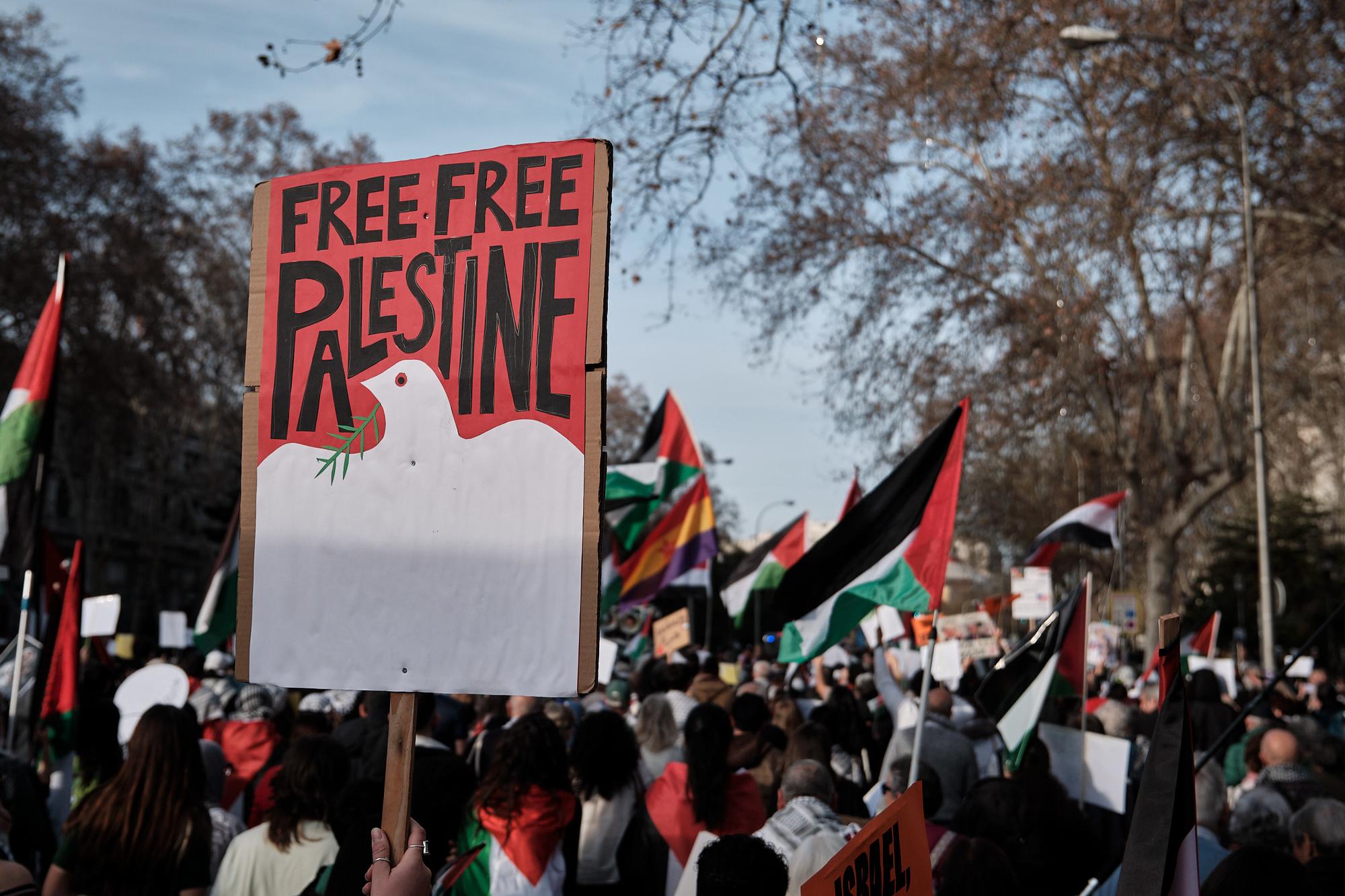 Marcha Madrid Palestina 27 - 12